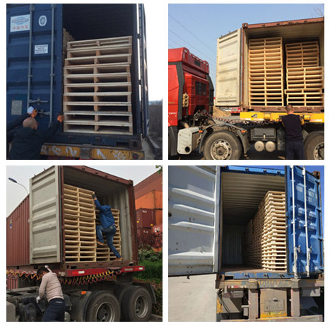 位于前湾港口码头，依托港口优势